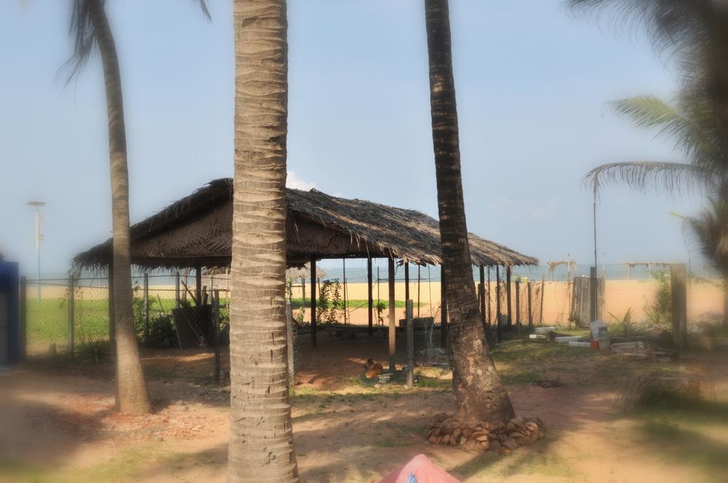 Tms Beach House Negombo Exteriér fotografie