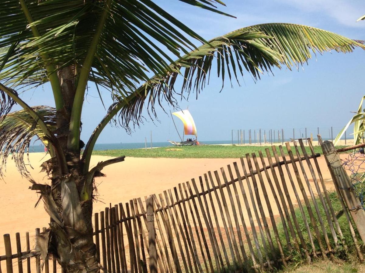 Tms Beach House Negombo Exteriér fotografie